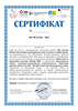certificate training apon 22 10 2020 sample th